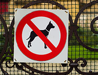 No Dogs sign